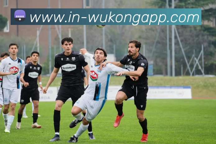 悟空体育appAPP 封面图